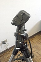 testa-treppiede.jpg