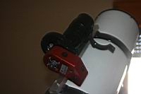 newton20cm.08.jpg
